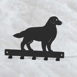 Golden retriever kulcsakasztó