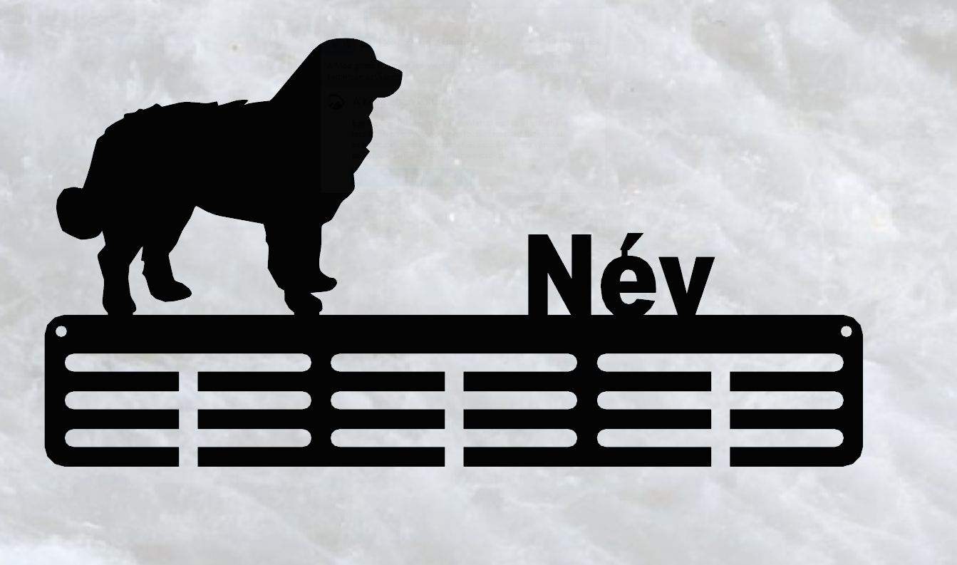 Berni pásztor éremtartó